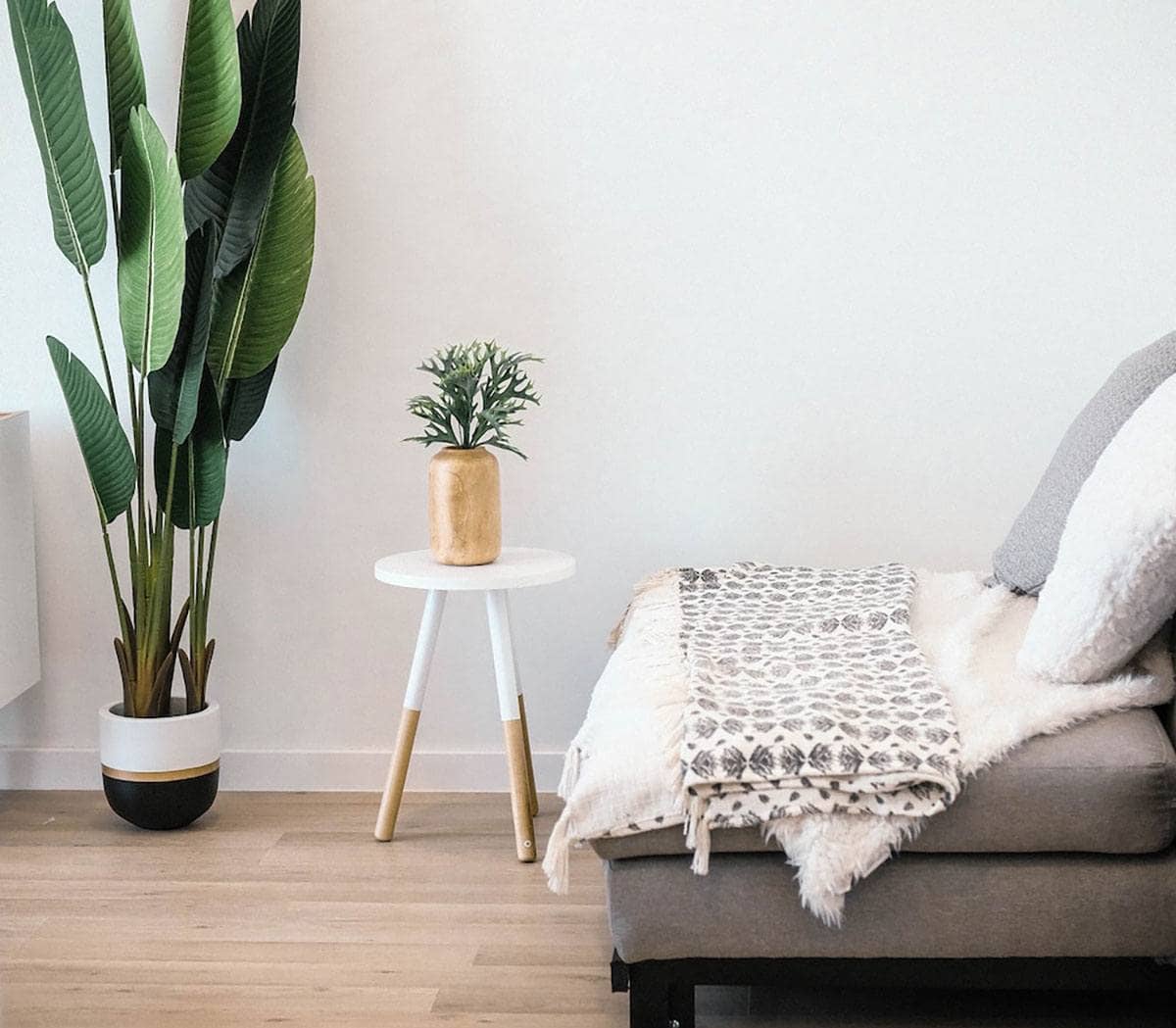Light grey sofa in living room