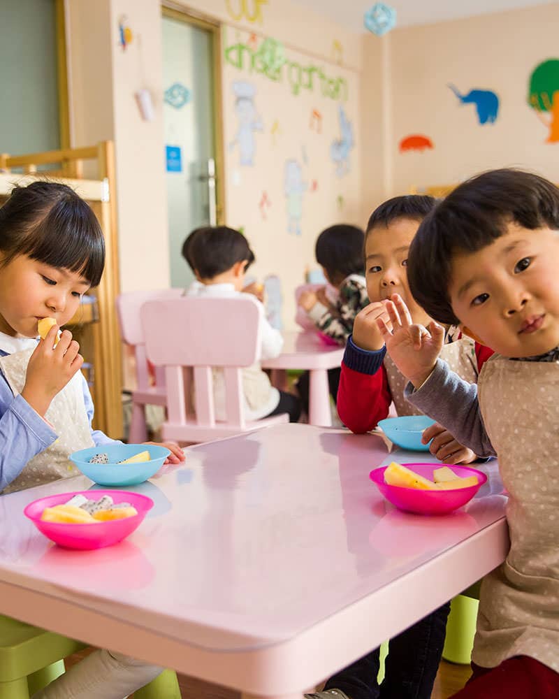 Education Programs Cause