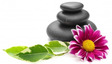 Spa wellness illustration