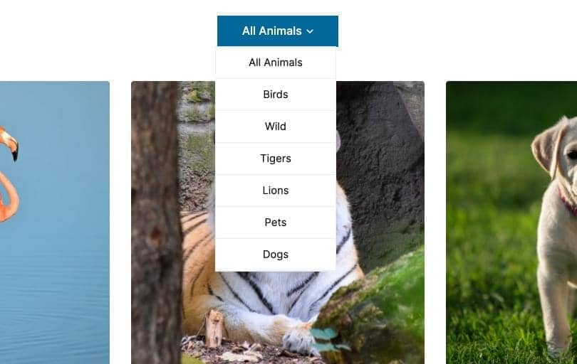 Canvas Filter Dropdown block layout preview