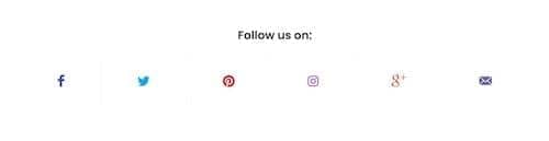 Canvas Social Follow block layout preview