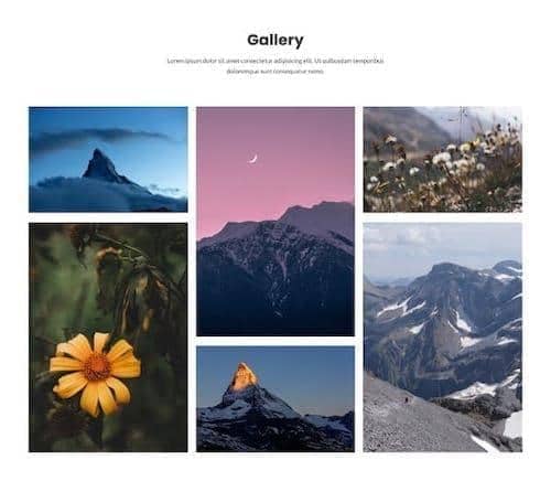 Canvas Gallery 1 block layout preview