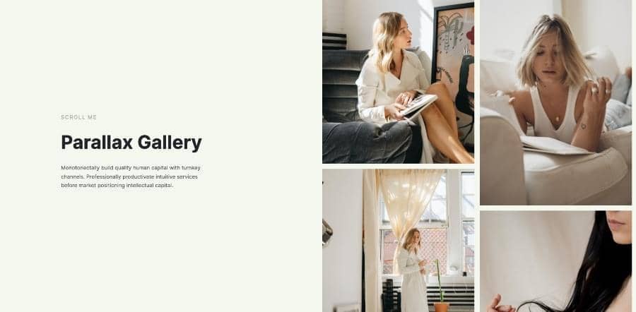 Canvas Gallery Parallax block layout preview