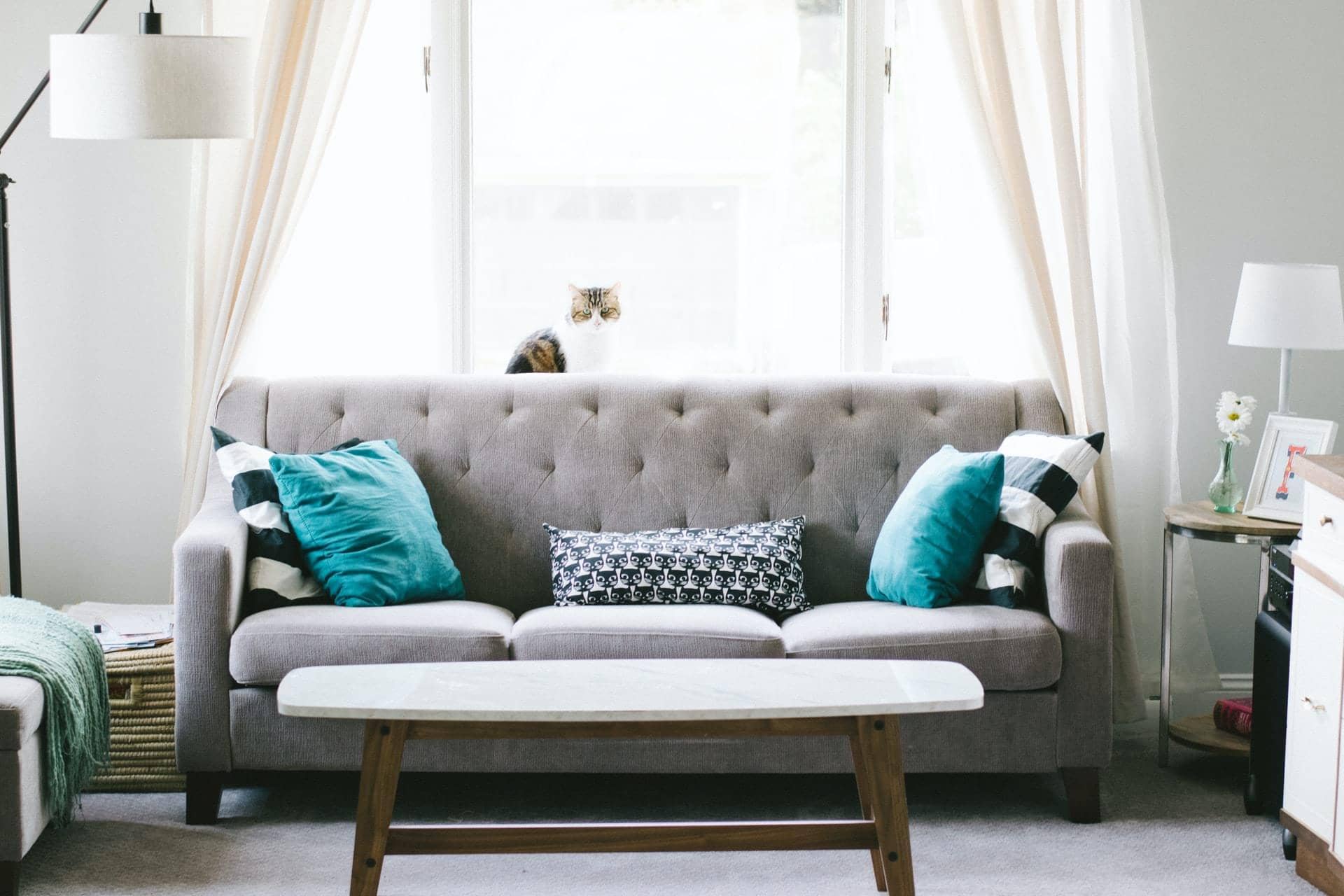 Modern home decor living room showcase