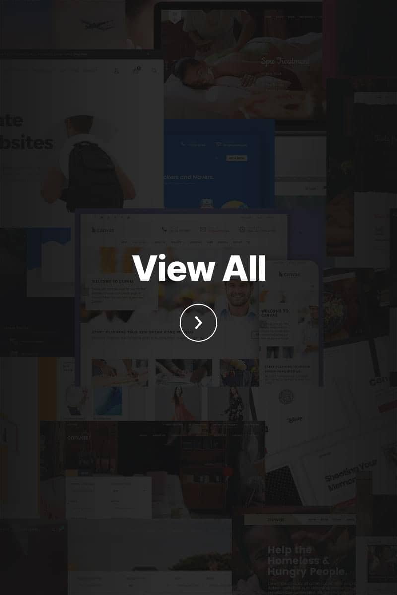 Canvas niche demos preview