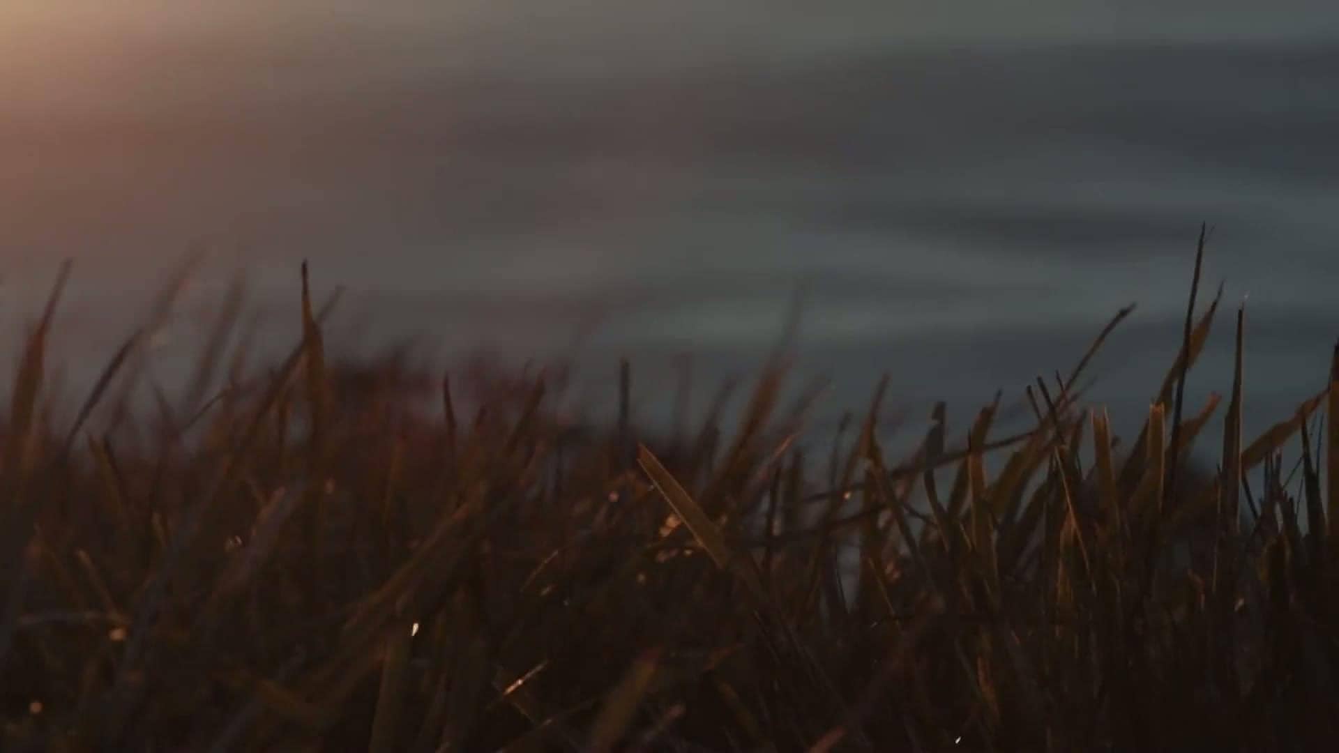 Canvas template intro video