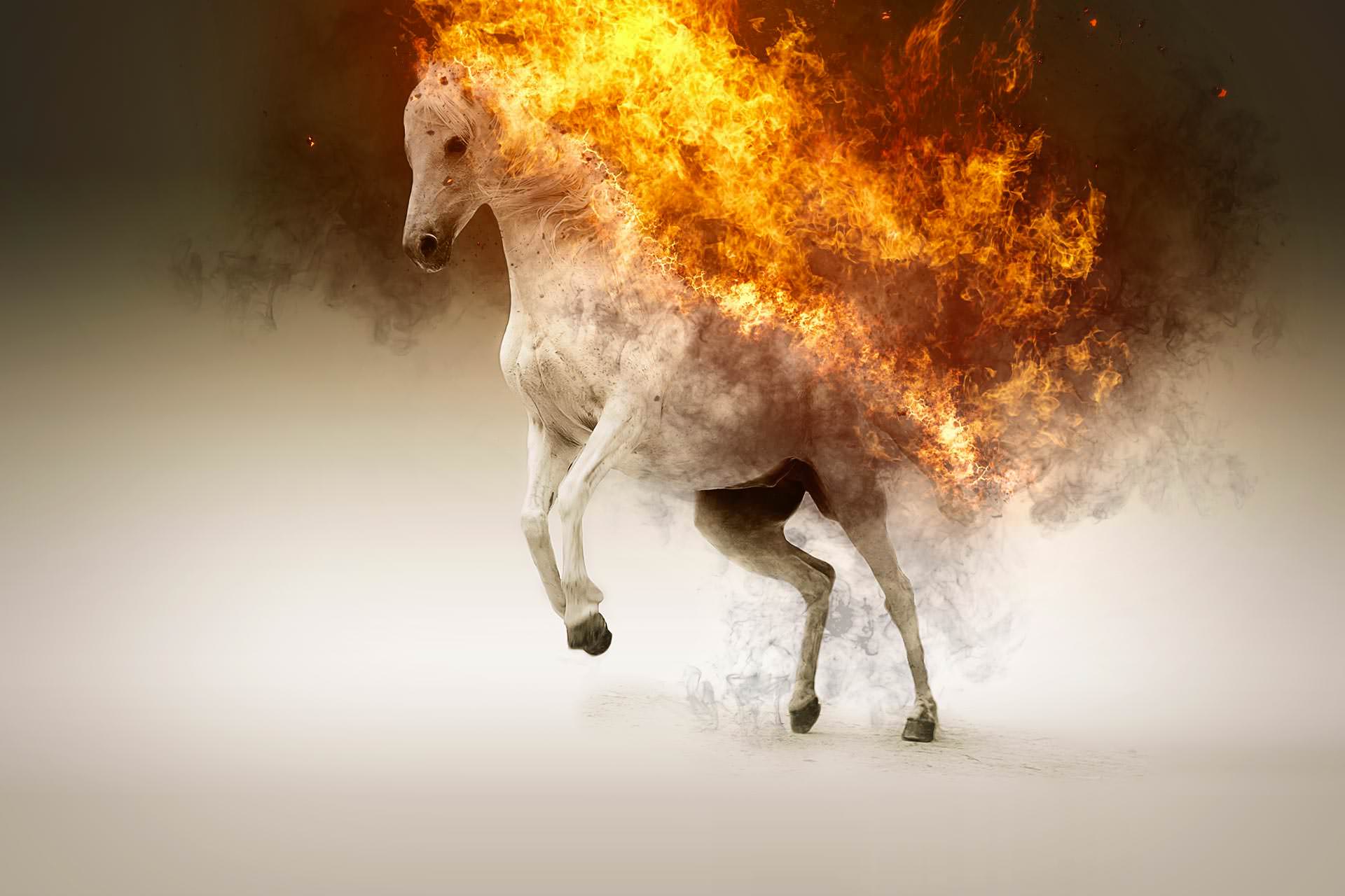 Dramatic horse background slide