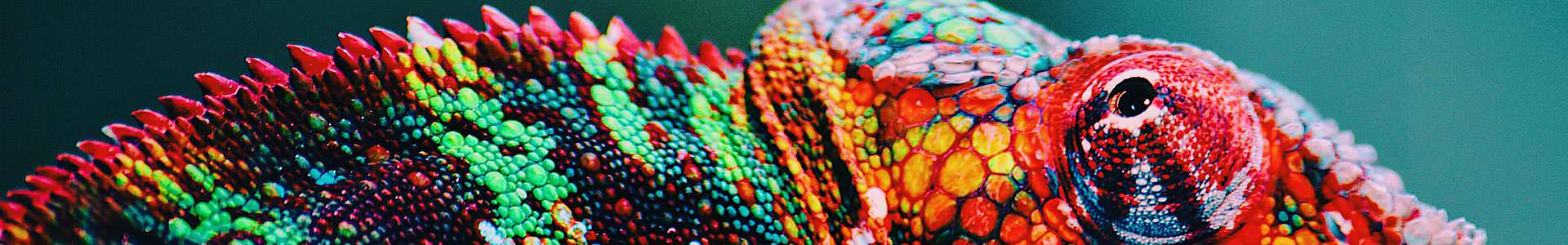 Canvas modern landing page design showcase