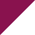 Decorative corner badge graphic