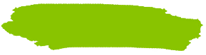 Green price highlight banner