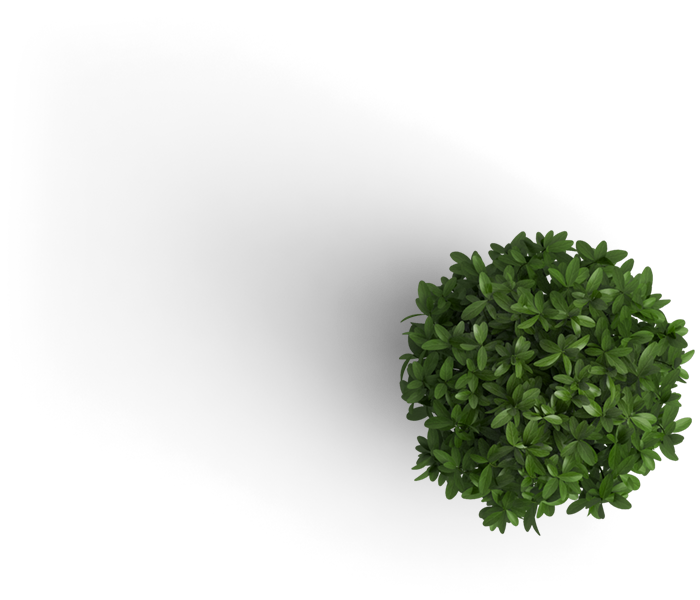 Potted plant on workspace