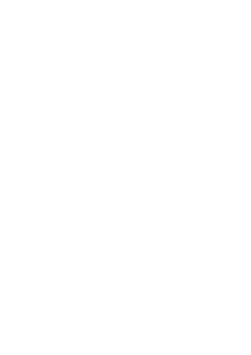 iPad screen glare overlay
