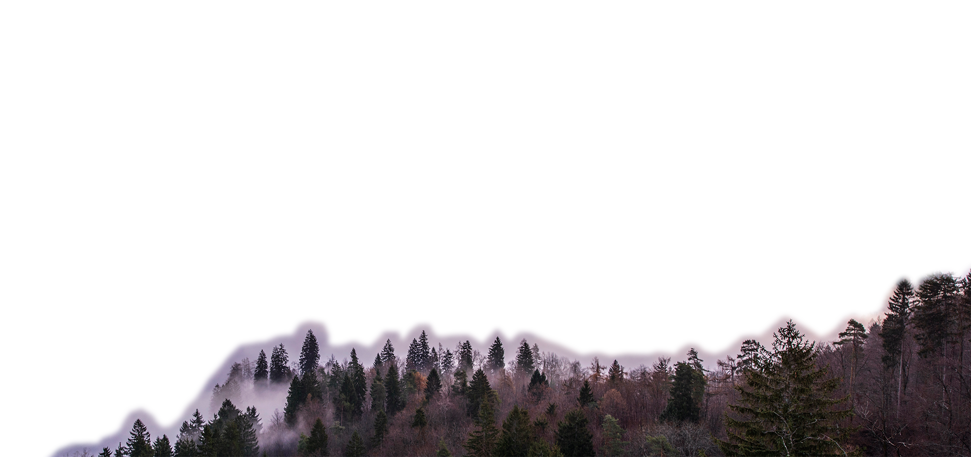 Front foreground parallax layer