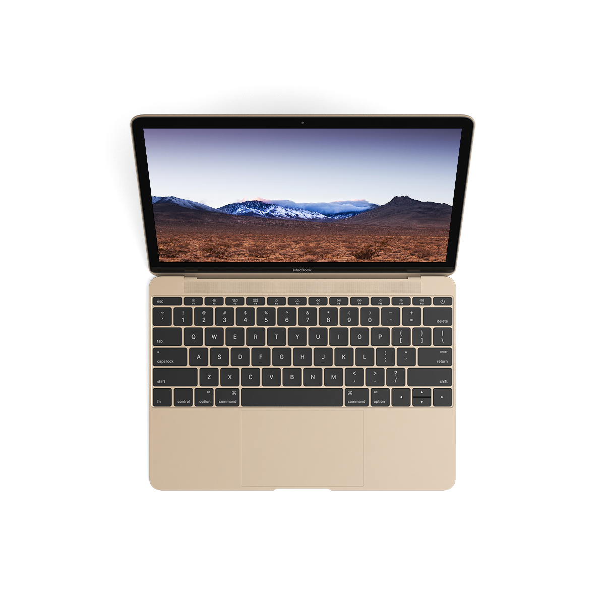 Gold MacBook laptop