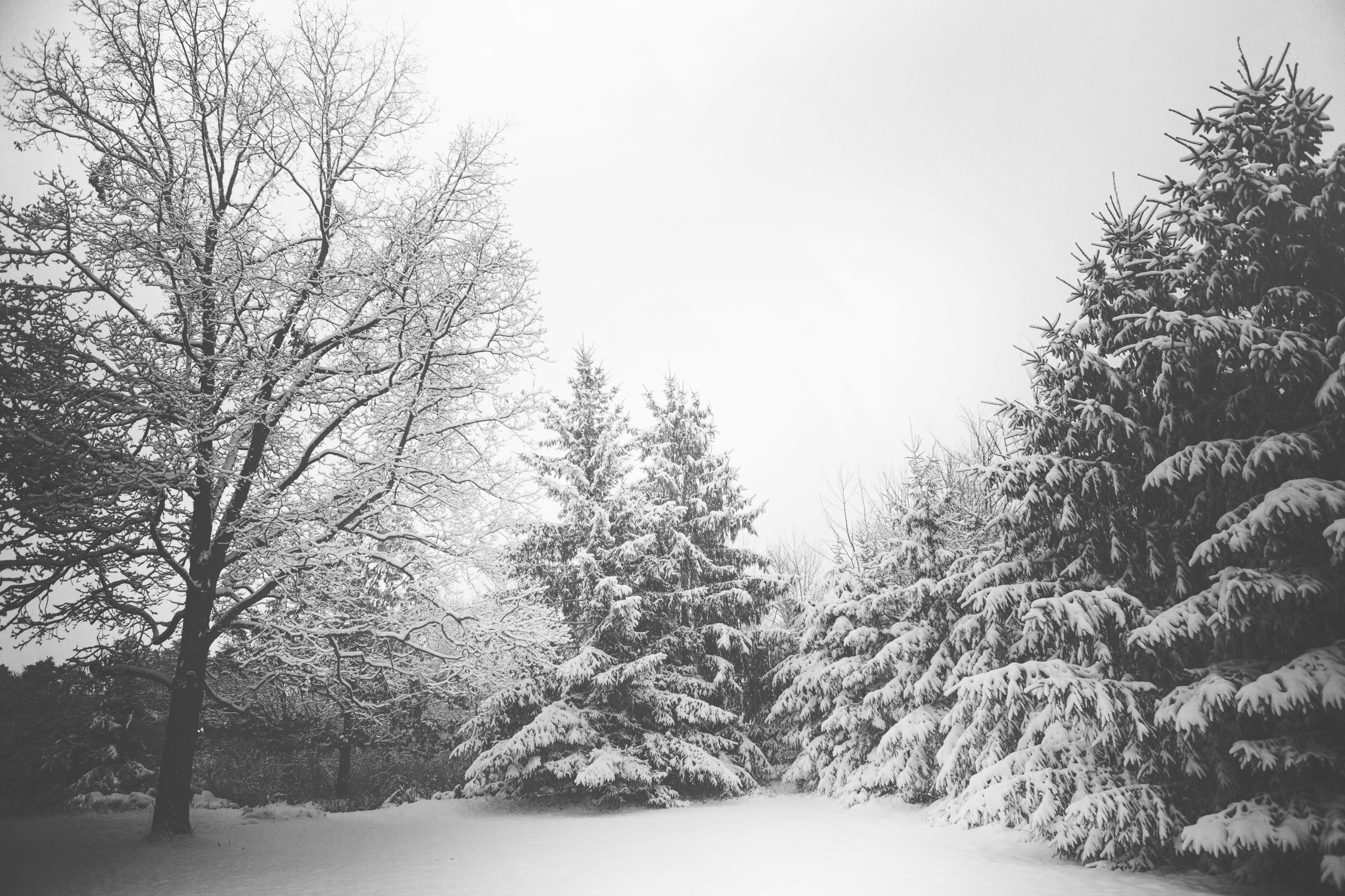 Snowy Winter Mountain Scene