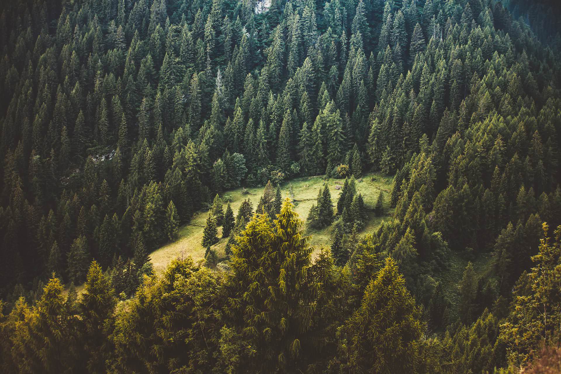 Hero Image slider background