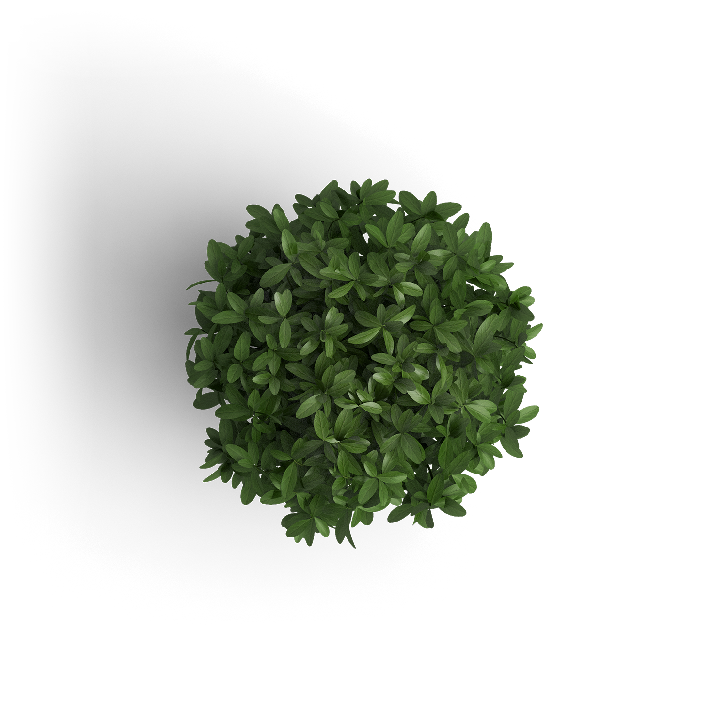 Potted desk plant decoration