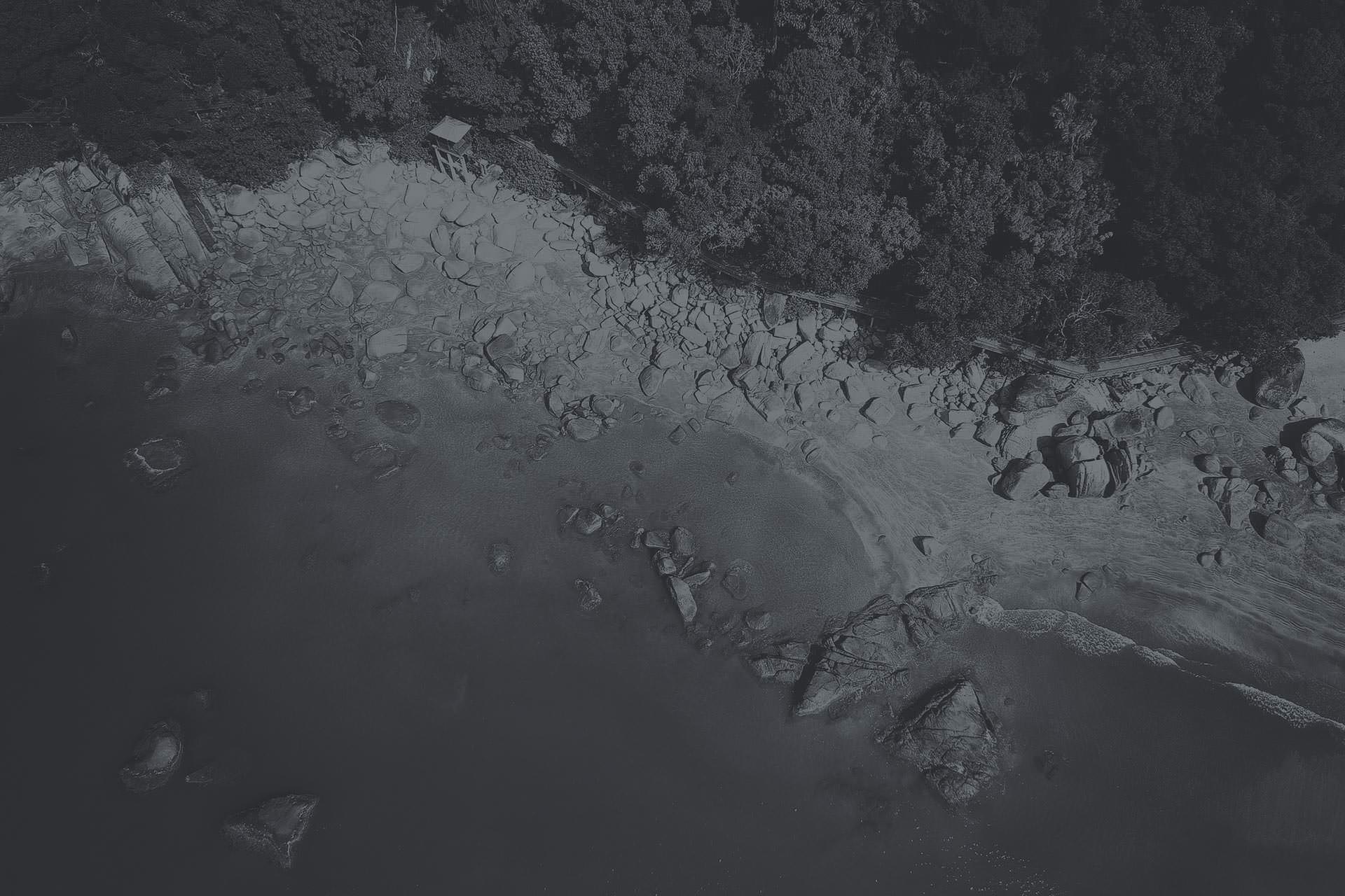 Black and white paint brush reveal background