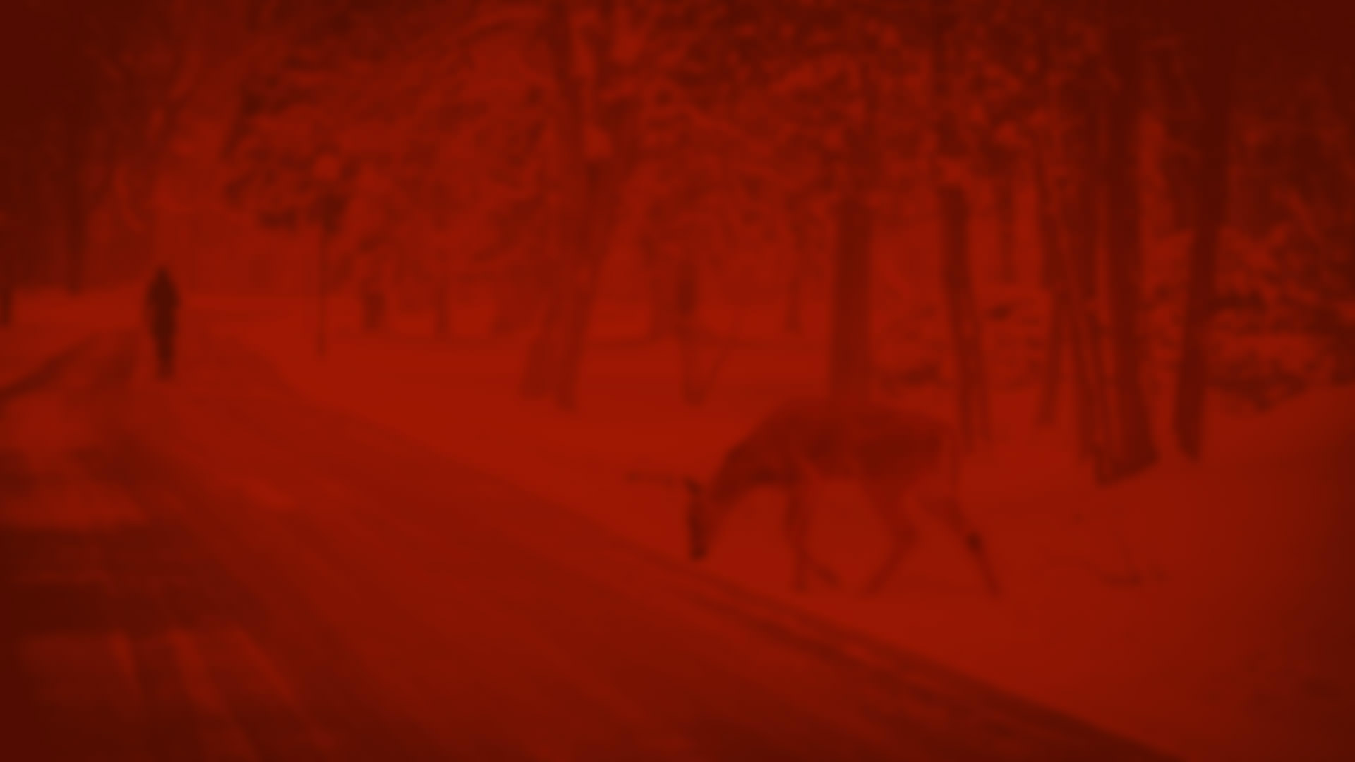 Festive red deer Christmas slider background