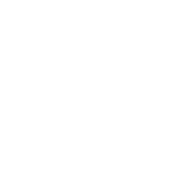 Decorative zigzag moustache emblem
